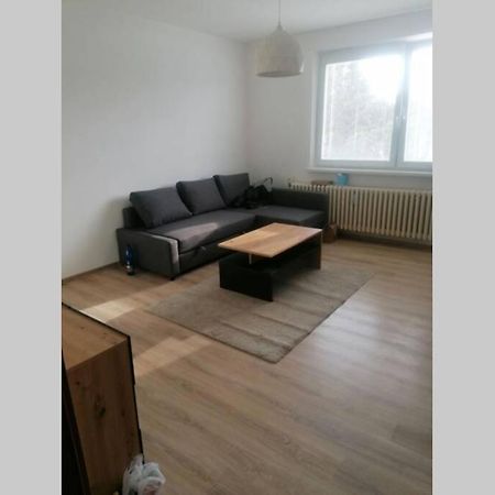 Apartman Blizko Hlavnej Stanice A Centra Mesta Bardejov Buitenkant foto